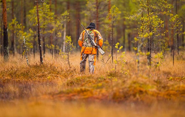 Hunter in the fall hunting season